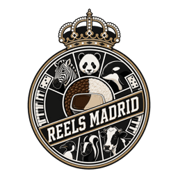 Reels Madrid